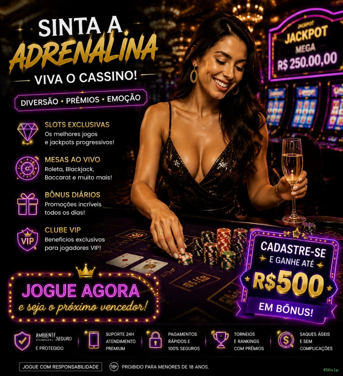 Suporte Qualidade 456vip